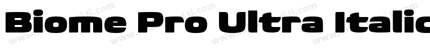 Biome Pro Ultra Italic字体转换